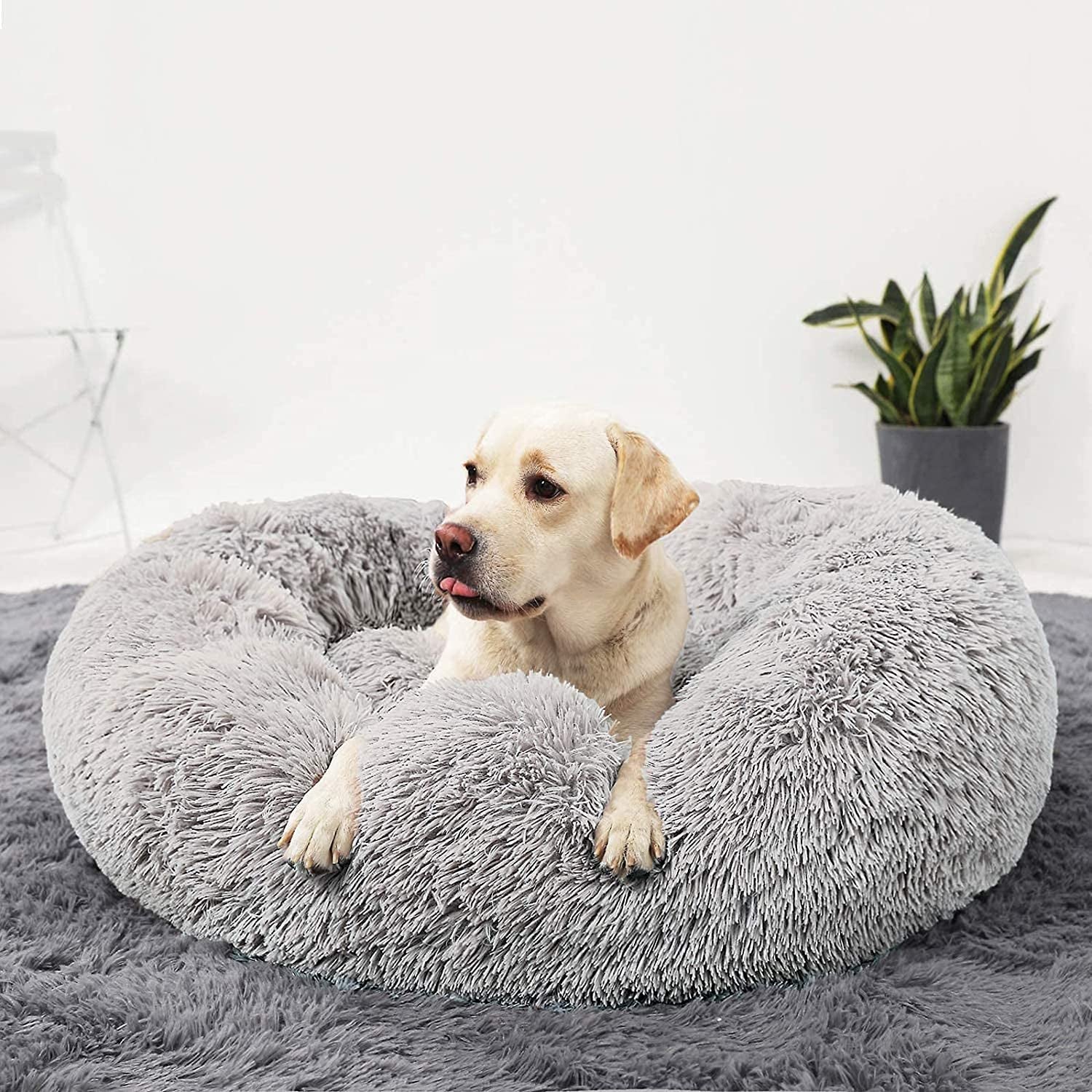 Calming Donut Dog Cuddler, Medium Large Dog Bed, 30''