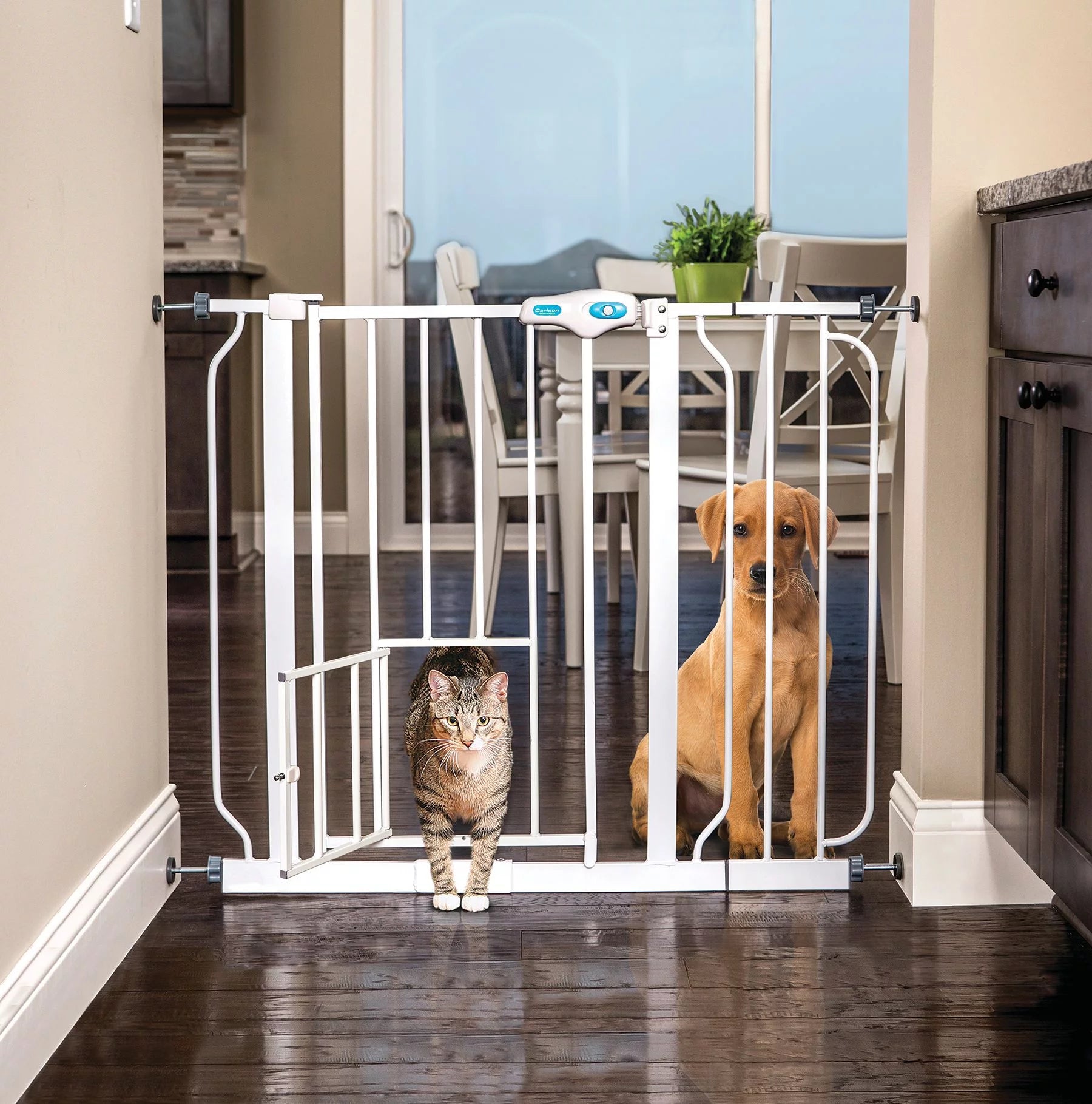 Metal Dog Gate with Walk-Through and Additional Small Door, 31" Tall, White