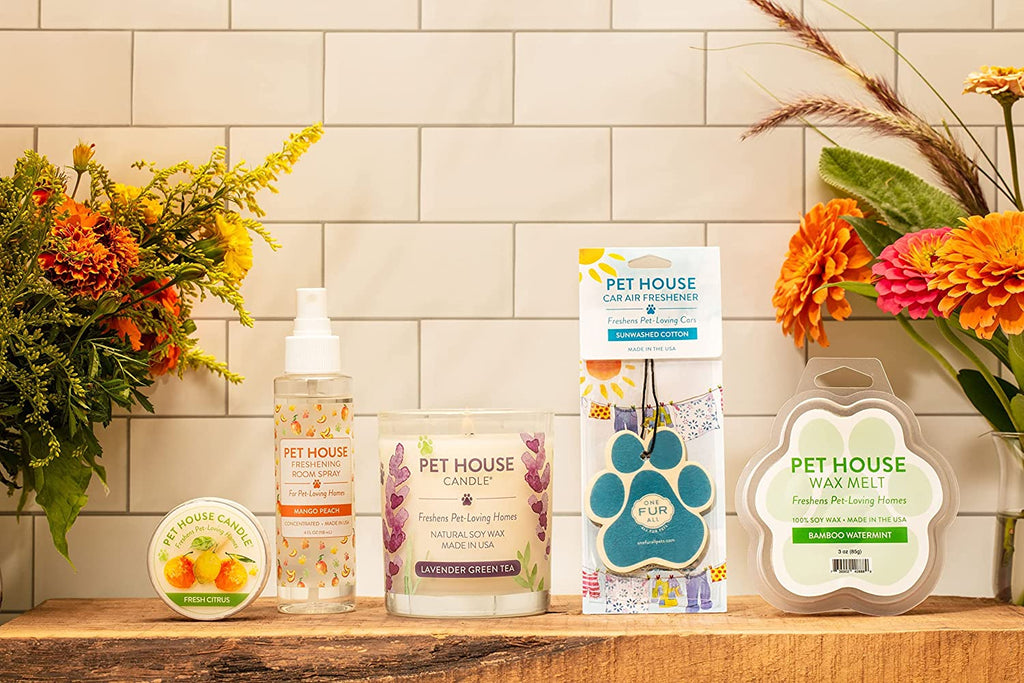 Pet House Fall Candles, Long Lasting, Clean Burning, Soy Wax Scented Candles for Pet Odor, Pumpkin Spice, 2 Pack