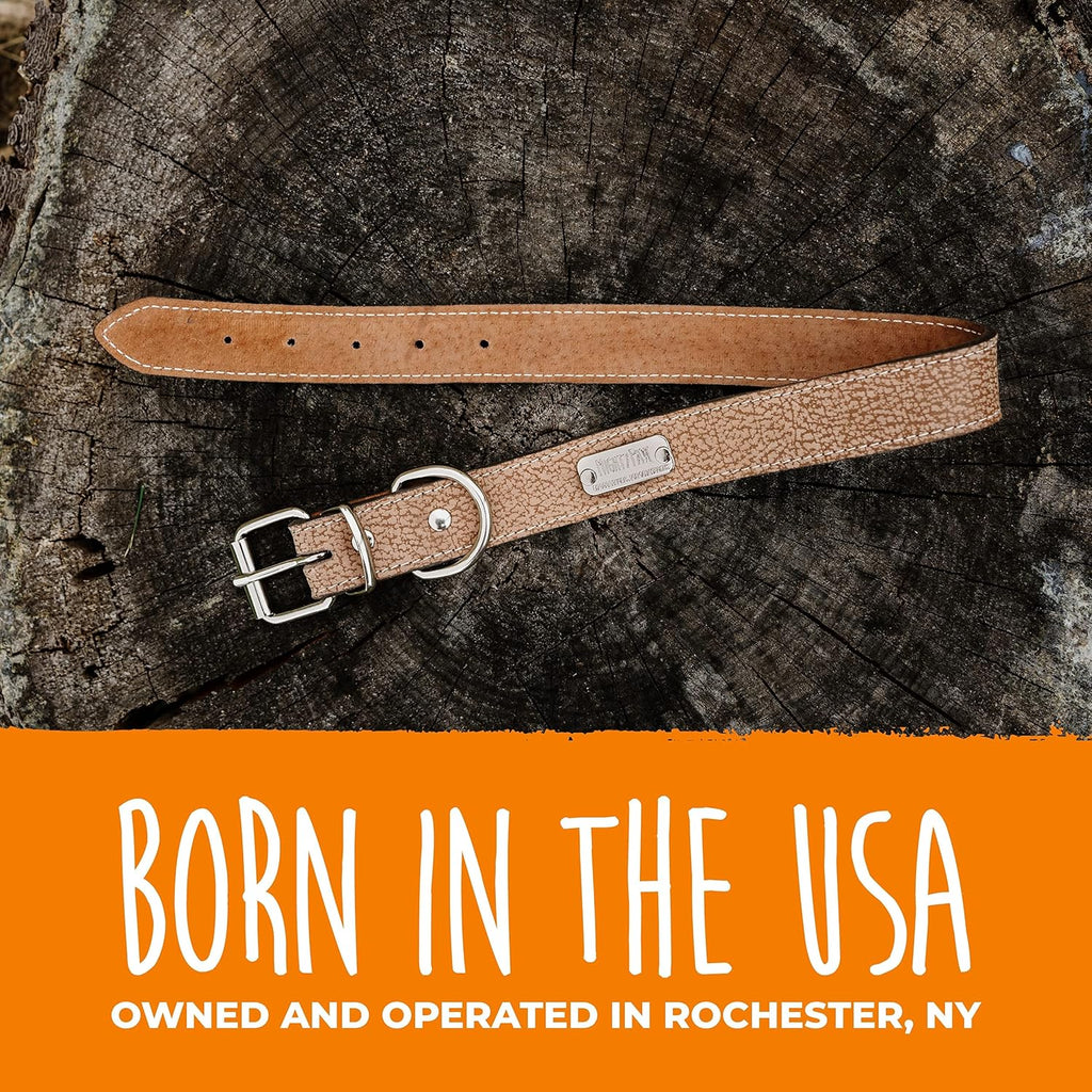 Leather Dog Collar - Genuine Distressed Leather - Strong Metal Buckle - Ultimate Comfort - Modern Style for All Dogs Breeds - Comfort Puppy Collar - (Small - Lite Brown)