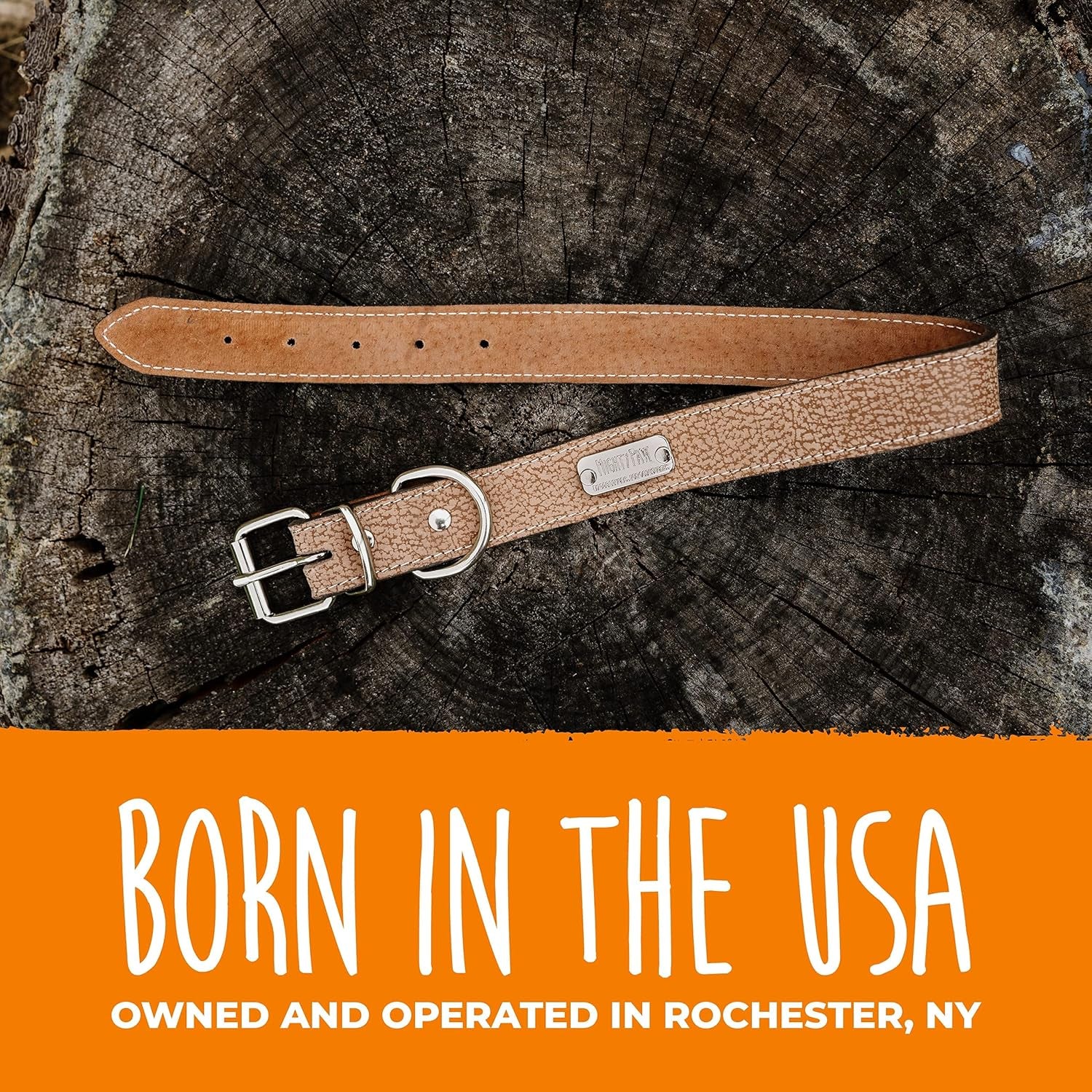 Leather Dog Collar - Genuine Distressed Leather - Strong Metal Buckle - Ultimate Comfort - Modern Style for All Dogs Breeds - Comfort Puppy Collar - (Small - Lite Brown)