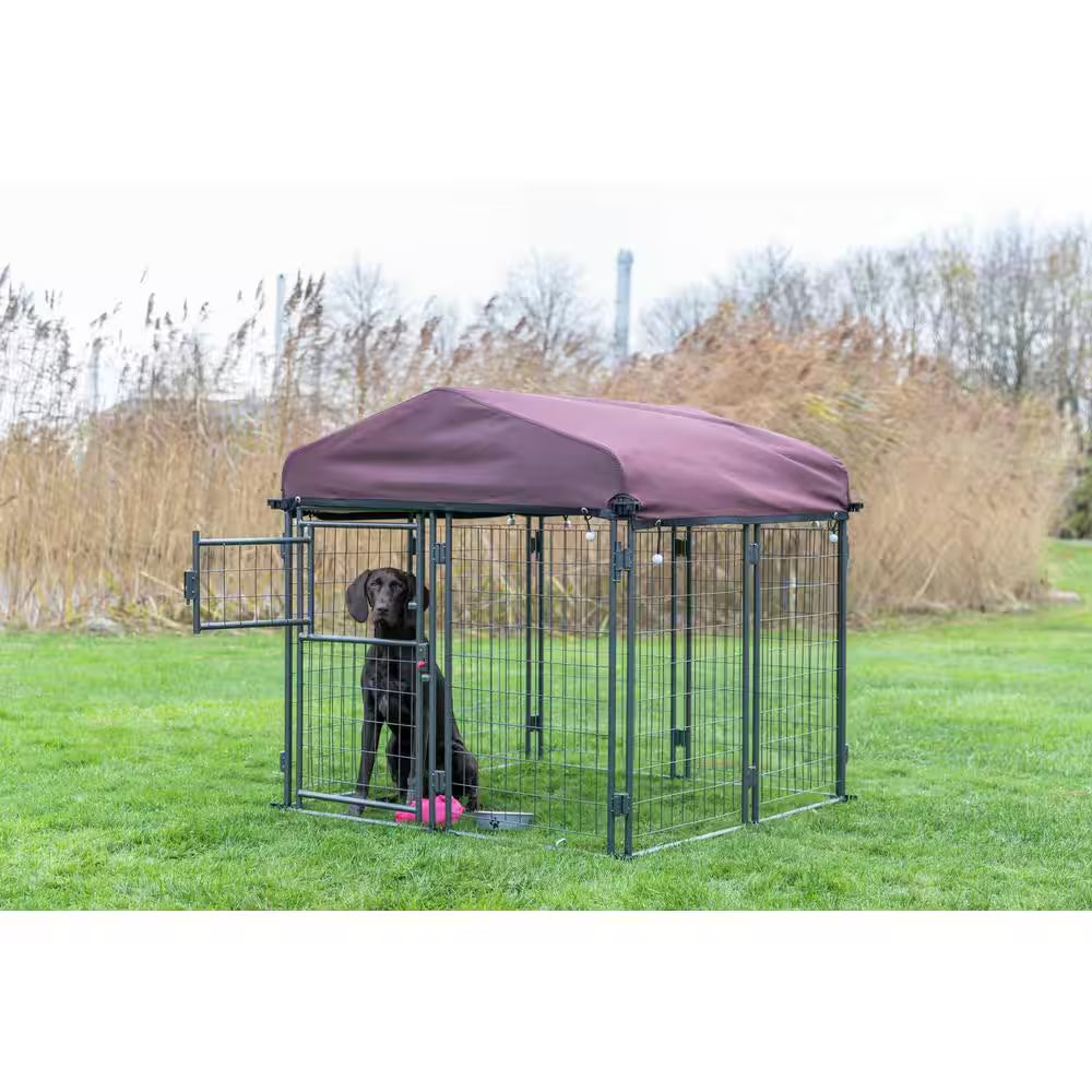 Deluxe Outdoor Dog Kennel with Cover, Medium
