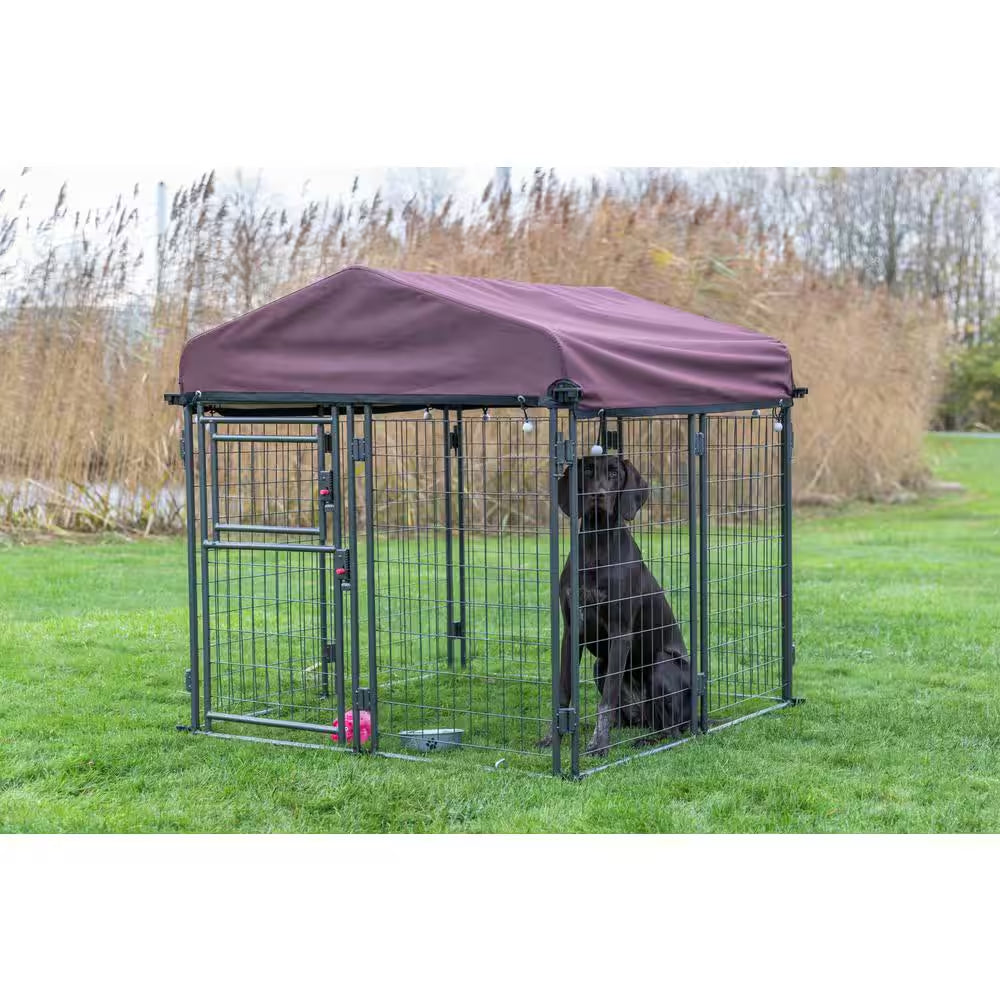 Deluxe Outdoor Dog Kennel with Cover, Medium