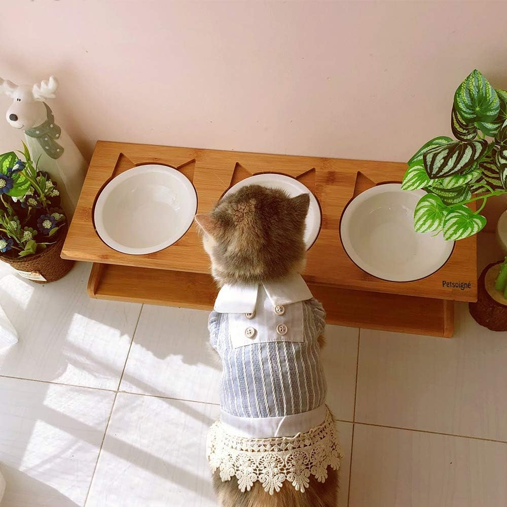 Cat Bowls Pet Dining Table with Raised Slope Wooden Stand Elevated Pet Bowls with Oblique Stand for Cats, Dogs, Kitten and Puppy (3 Bowls, Ceramics)